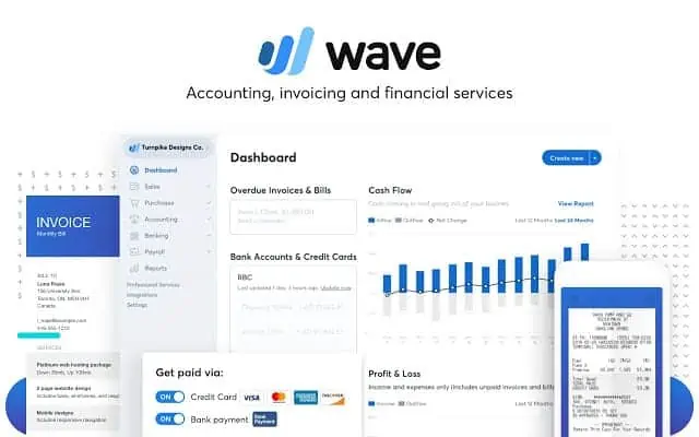 Screenshot of Wave Accounting's software